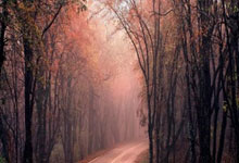 MK体育：中国体坛“巨星”屈指可数,李娜领衔,李宁、邓亚萍落榜.