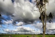 MK体育：张媤淳（女，7岁），国家一级运动员！杭州日报.