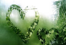 祝贺！潘展乐夺游泳世界杯男子100米自由泳金牌央视新闻客户端.